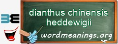 WordMeaning blackboard for dianthus chinensis heddewigii